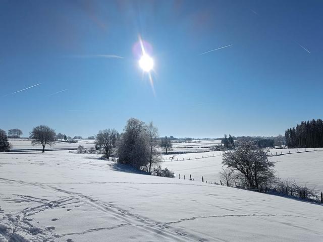 IMG20240120121628 Selectie Jolien Verhelst W950