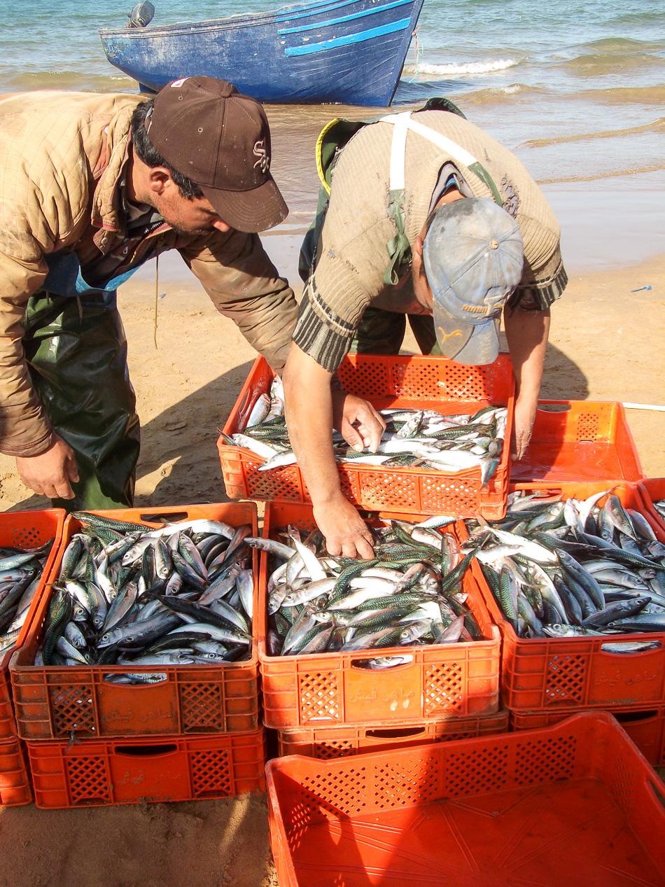 Zeekamelen-13-Emilie-DHollander-DSCF4952_export_w950