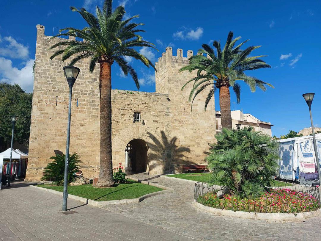 446027269 472830158578207 3239960359334559741 N Lori Persoons 1080