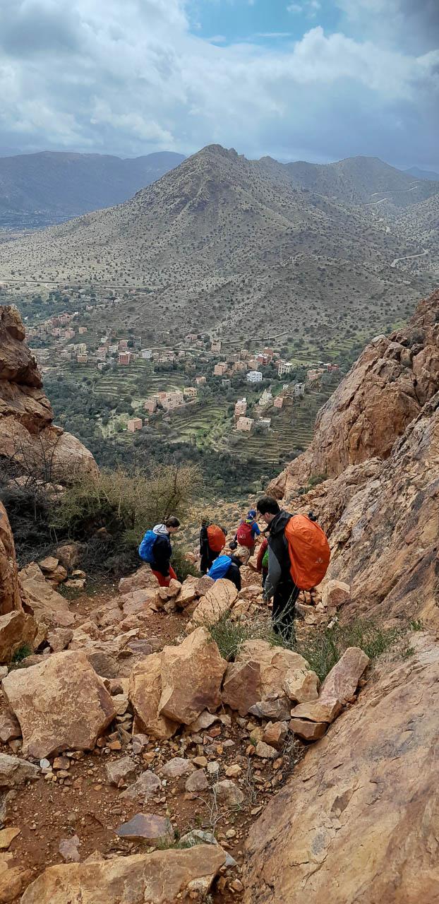 Selectie 20260206 141409 Tom Cornelis