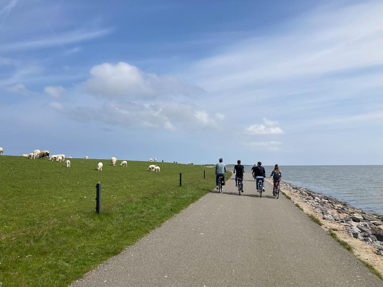 Myrthe Felten Groningen Bootz Myrthe Felten (19) Myrthe Felten