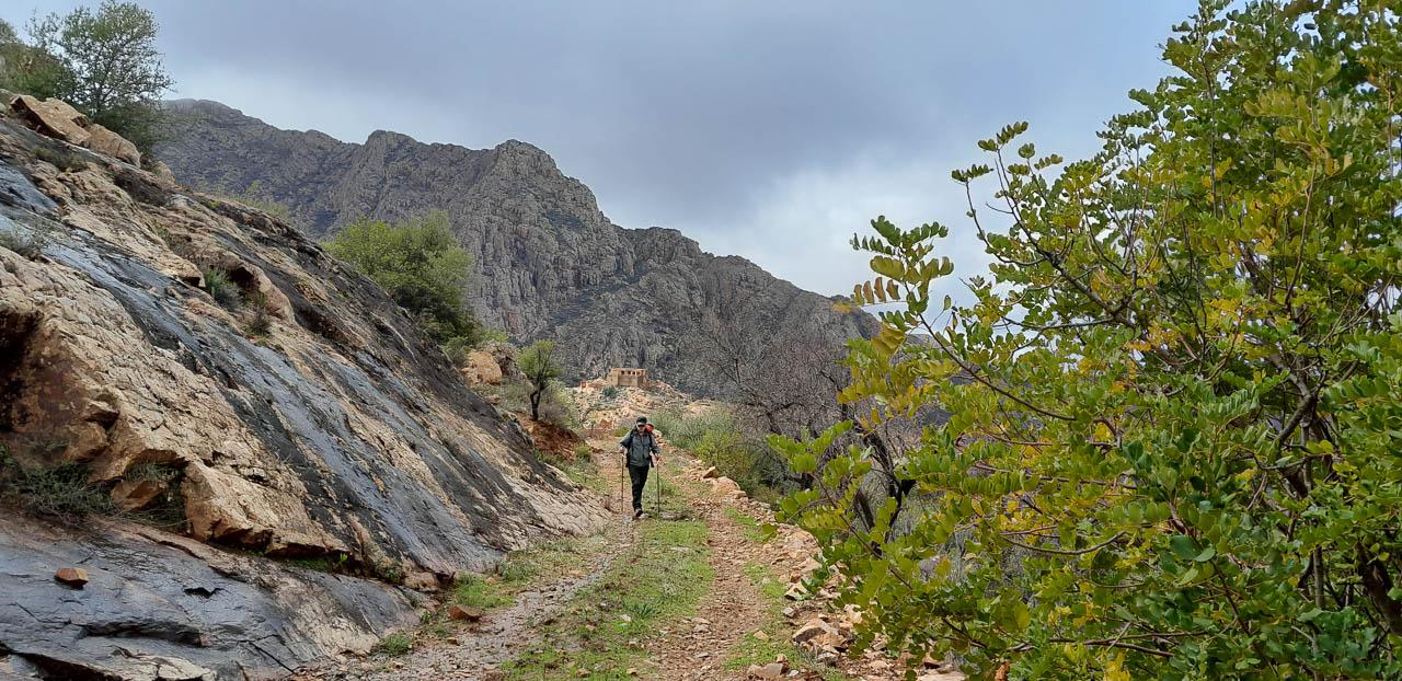 Selectie 20260203 141631 Tom Cornelis