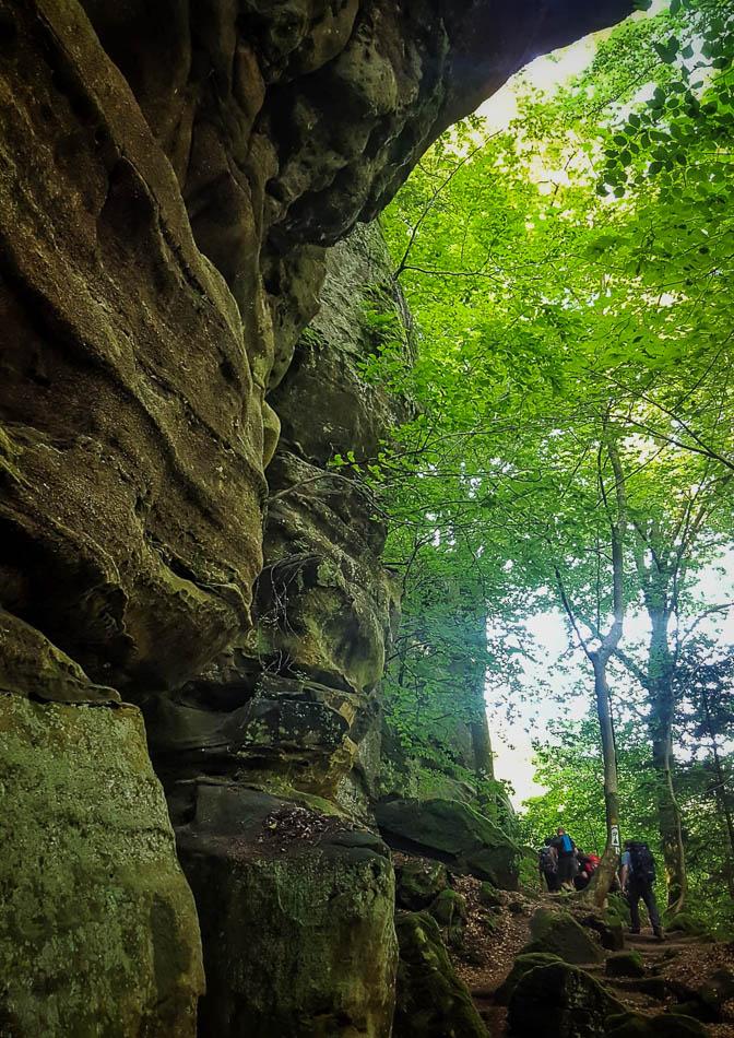 whatsapp-image-2021-08-16-at-21.12.46_andy-lauwerier_w950