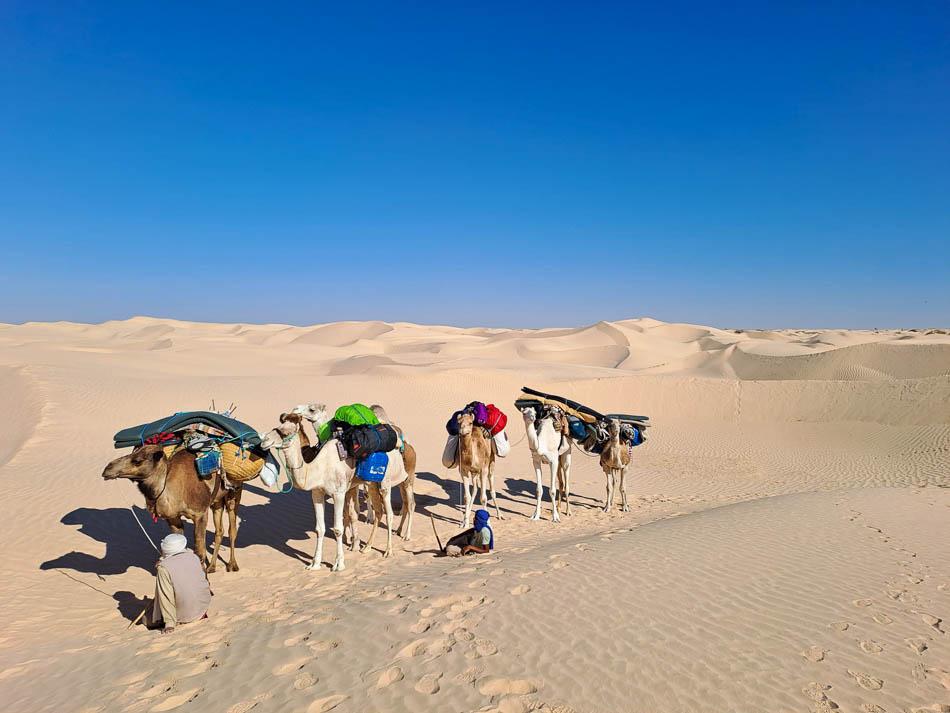 IMG 20231119 WA0013 Selectie Ines Hulpiau W950