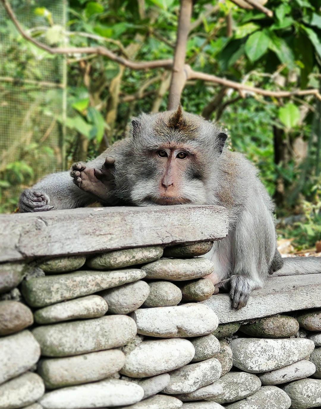 IDGI 2019 Amberjanssens (6) Amber Janssens 1080