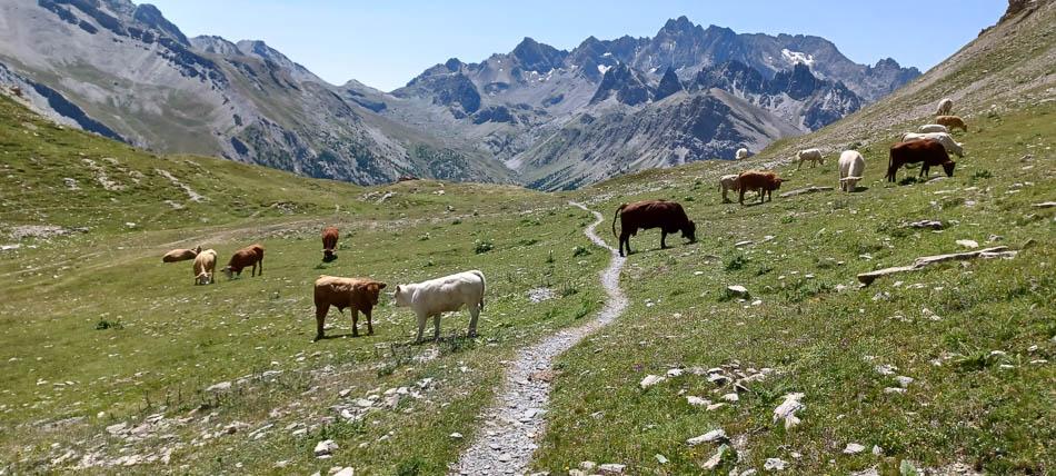 20230726_124108-Filip Dehaene-Filip Dehaene-w950