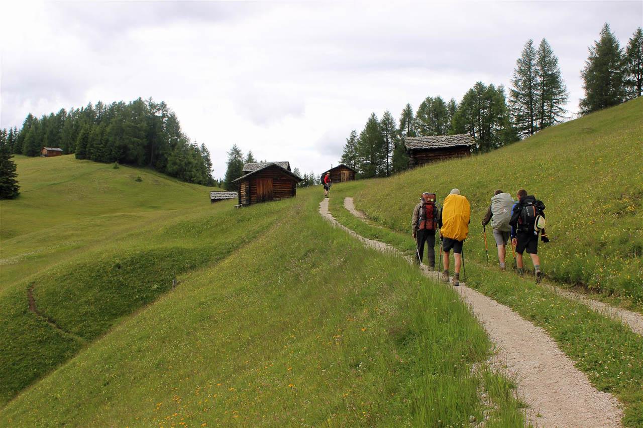Dolomiti Robin 0827 (Large) Selectie W1280