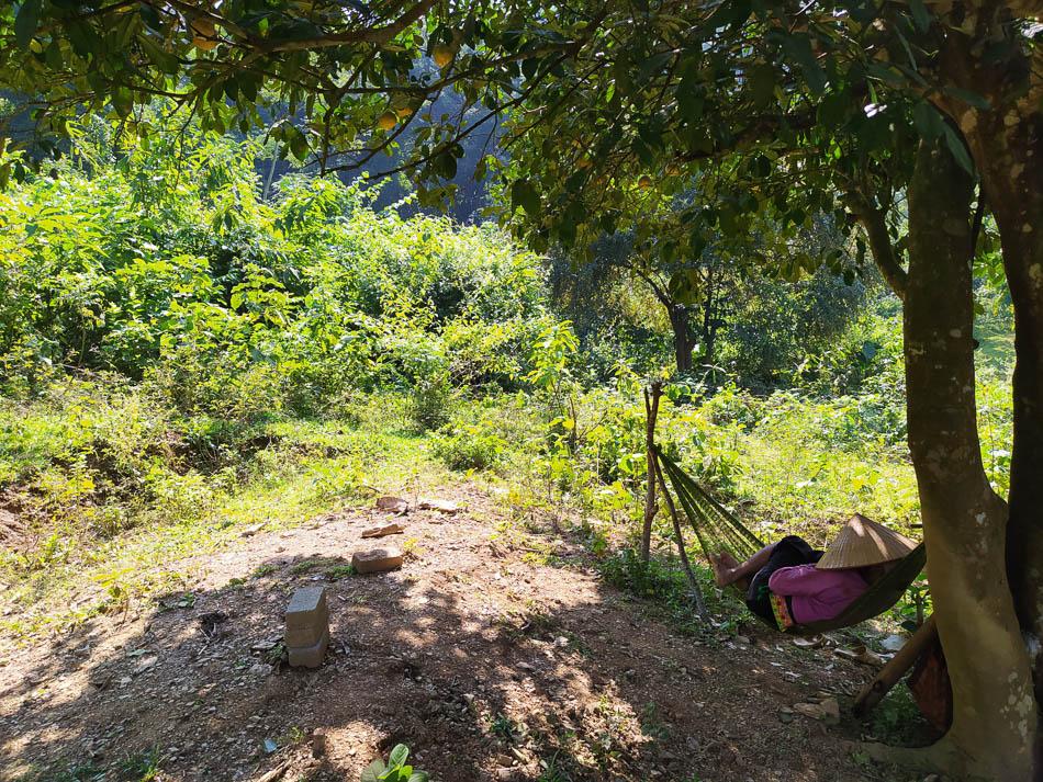 IMG 20241110 130459 Charlotte Charlotte Stevens W950