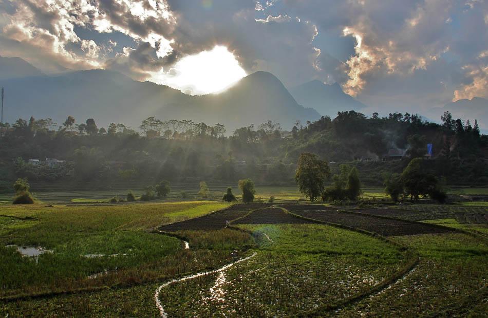 VN 228 Arne Vanwijnsberghe Arne Van Wijnsberghe W950
