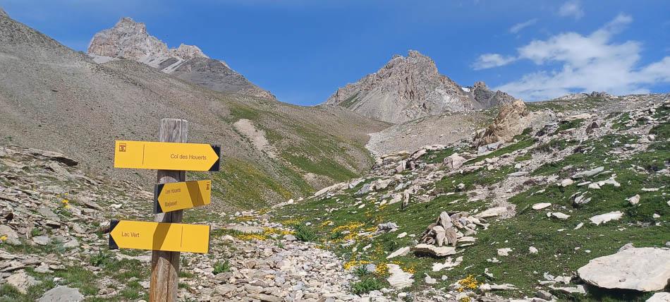 20230718_103748-Filip Dehaene-Filip Dehaene-w950