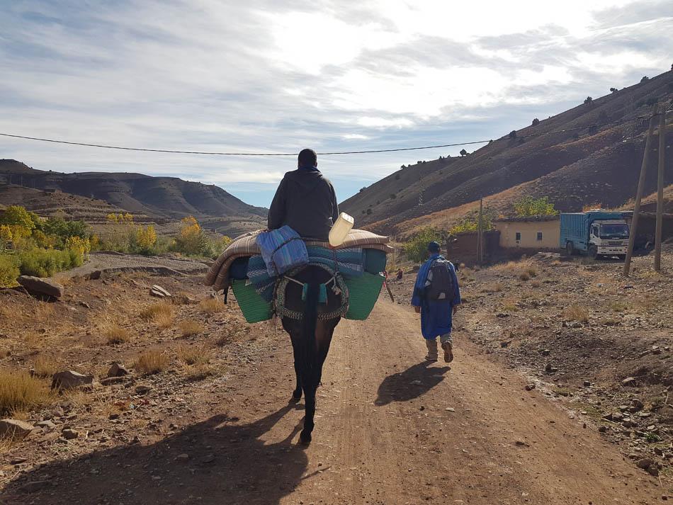 20231027 103437 Selectie Charlotte Stevens W950