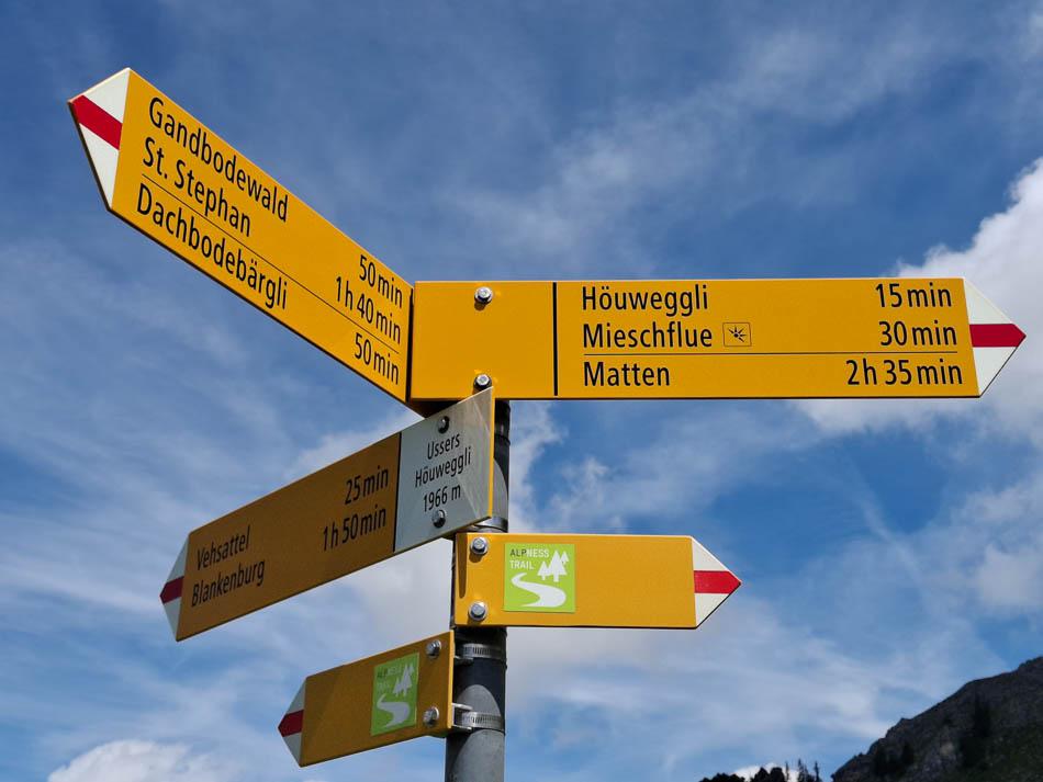 20240808 125125 Filip Dehaene Prospectie Filip Dehaene W950