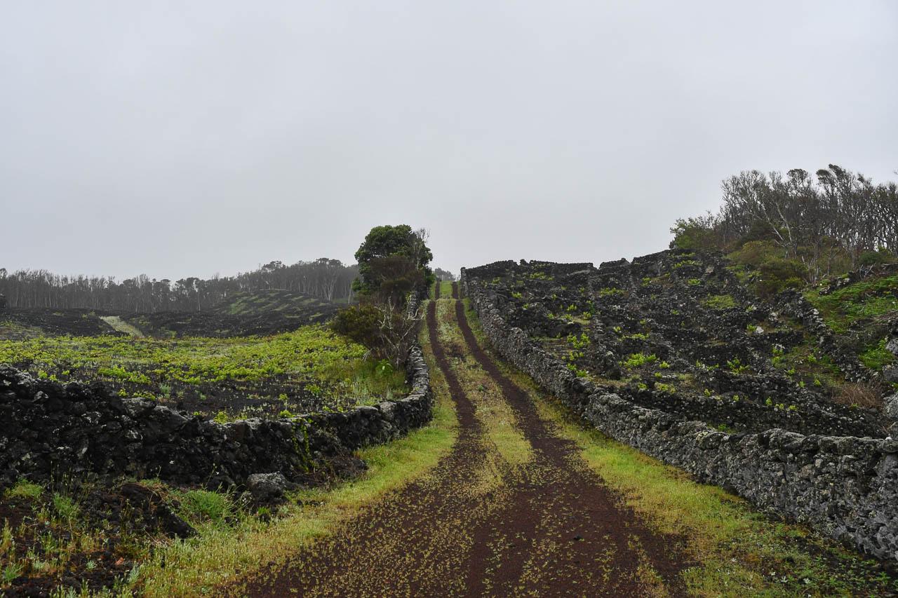 Selectie Elise Bellon (4) Elise Bellon