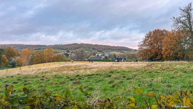 Venntrilogie 1 Ysebaert Peter Peter Ysebaert W1280