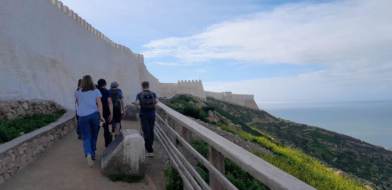 Selectie 20260208 110955 Tom Cornelis