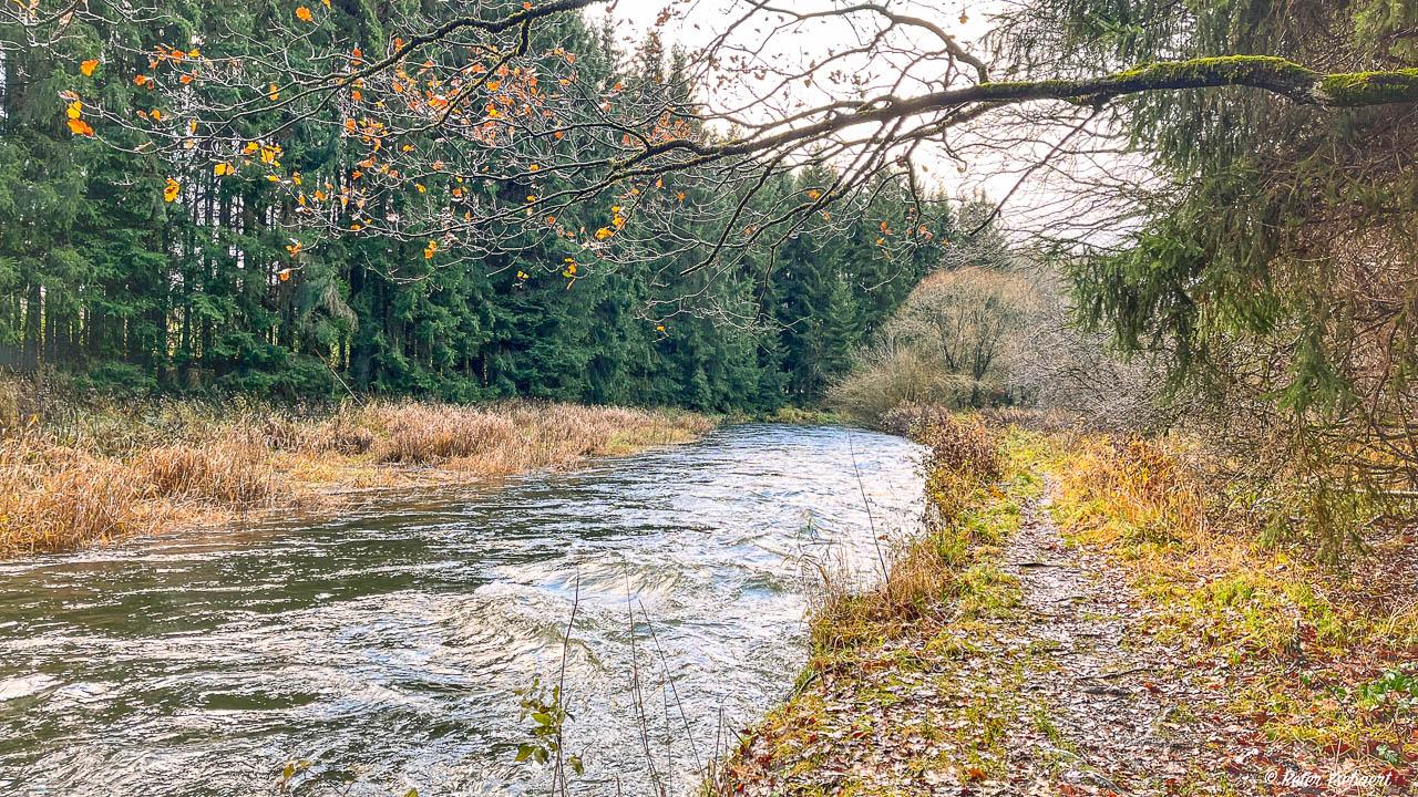 Venntrilogie 32 Ysebaert Peter Peter Ysebaert W1280