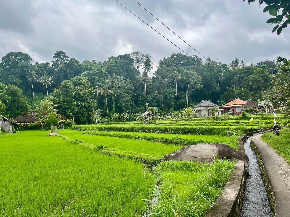 Image00002 Selectie Eveline Eveline Claes W950 Eveline Claes Eveline Claes W950