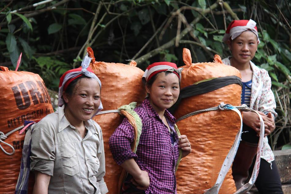 VN 167 Arne Vanwijnsberghe Arne Van Wijnsberghe W950