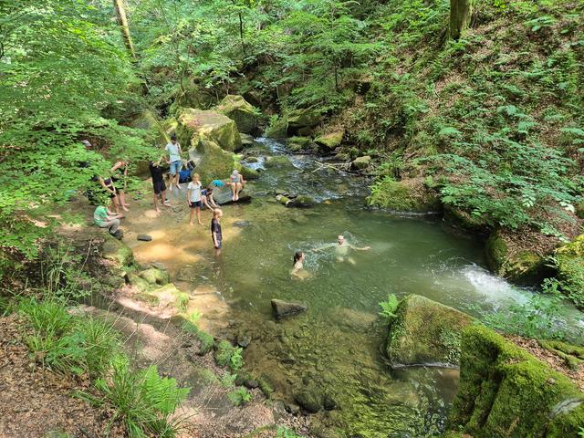 Frederik Vanhaelst Frederik Vanhaelst (1) Frederik Vanhaelst