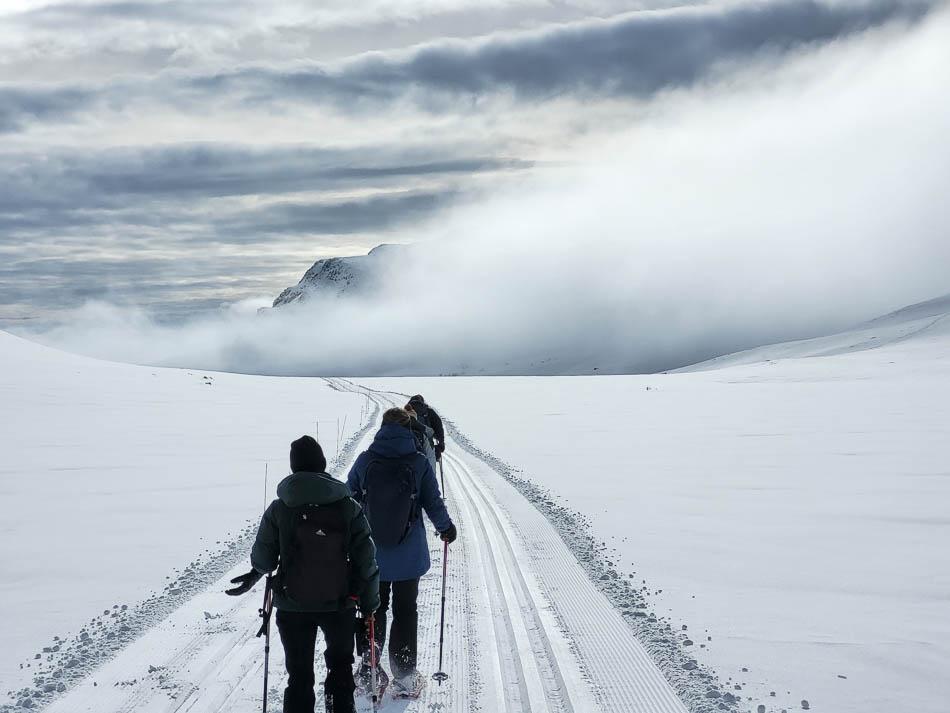 20230322 102921(0) Lucas NO4RDW Lucas Wittevrongel (Selectie Door Yentl) Lucas Wittevrongel W950