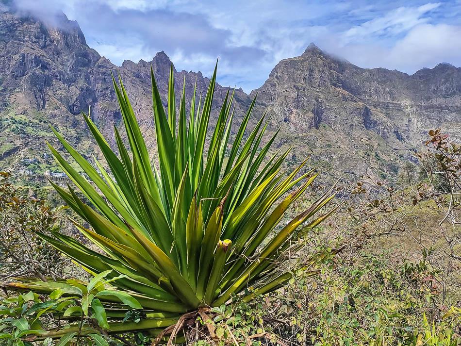 Achtdaagse IMG 20230131 WA0011 Frederik Vrijs W950