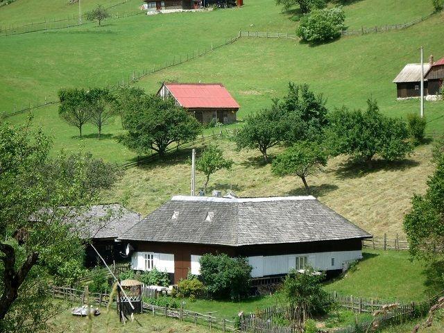 active-trekking-tour-in-bucegi-natural-park-and-national-park-piatra-craiului-4-days142925_export