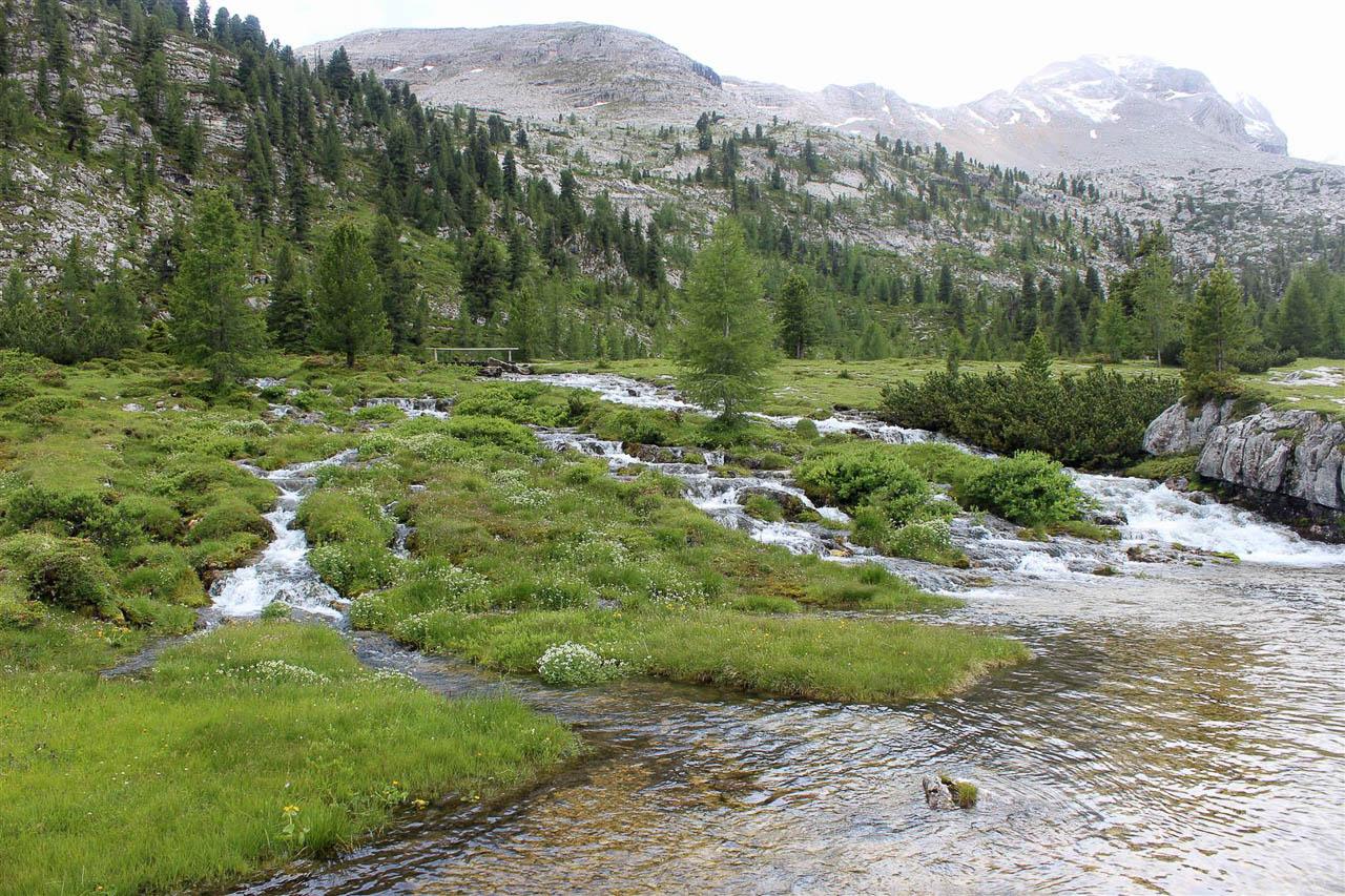 Dolomiti Robin 0754 (Large) Selectie W1280