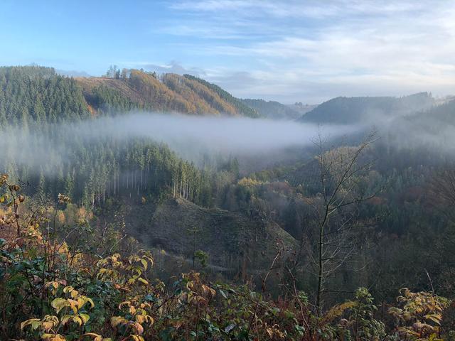 Vallée De La Warche (C)Www.Ostbelgien.Eu Toerismus Ostbelgien Met Toestemming Toerismus Ostbelgien W950