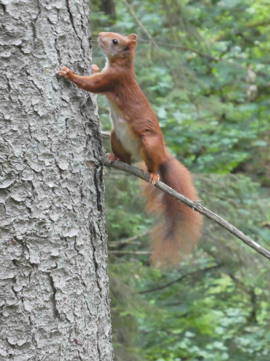 LU4MTA Driesmartens 2023 (9) Fotowedstrijd Dries Martens W950