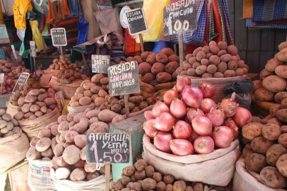 Peru-2010-Nancy-Reusen-IMG_6578_export