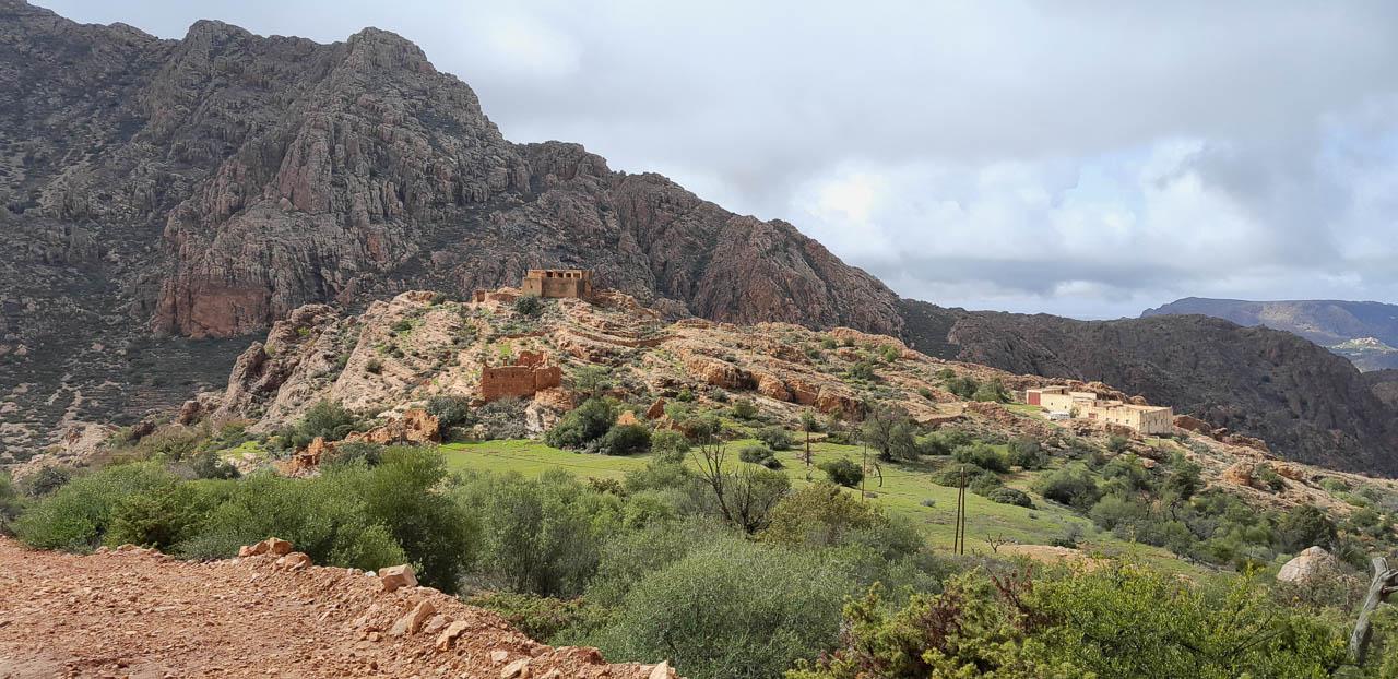 Selectie 20260203 141300 Tom Cornelis