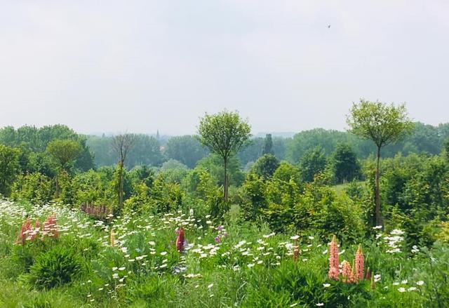 60859373_10217637925718535_8976272724250853376_n-950px