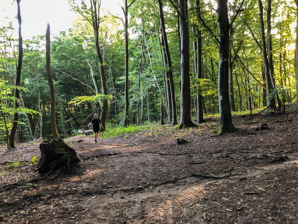 69213074_1014673685404697_4336589343029198848_n__w950