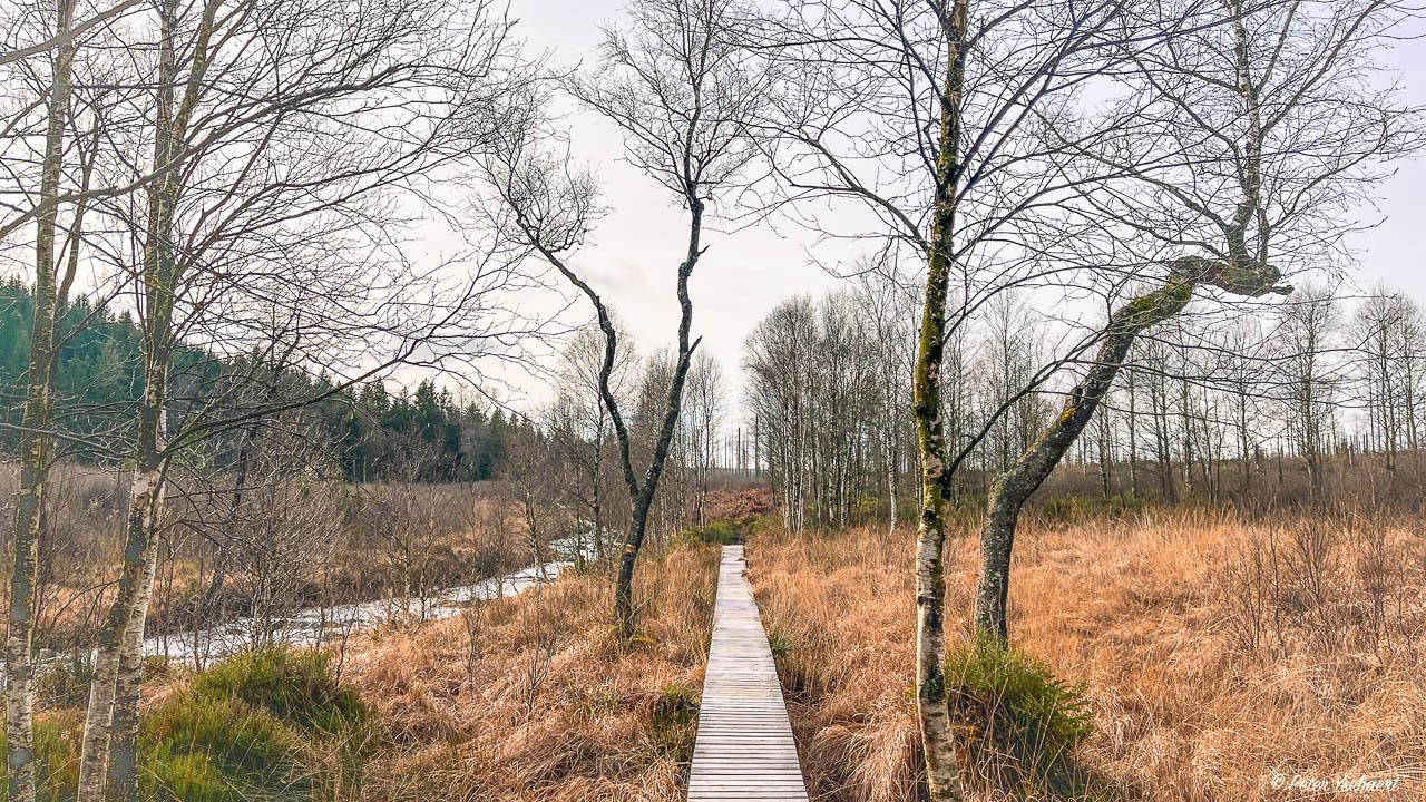 Venntrilogie 18 Ysebaert Peter Peter Ysebaert W1280