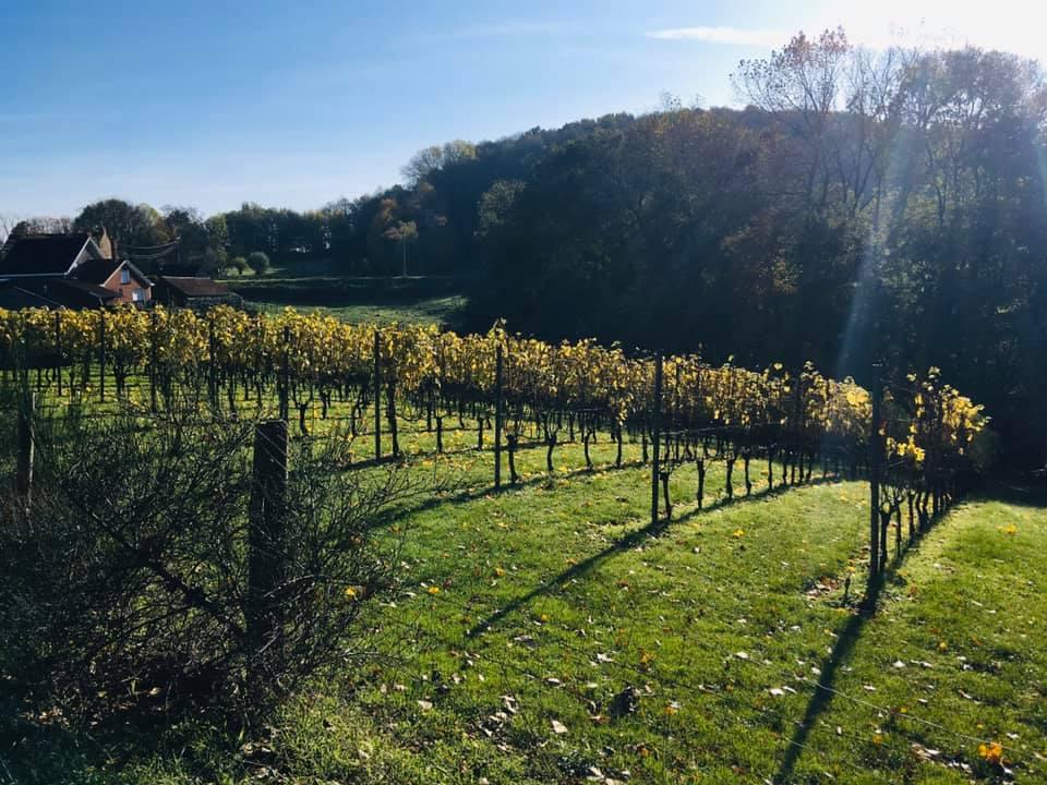 74601186_10219028988934246_1727863354610941952_n