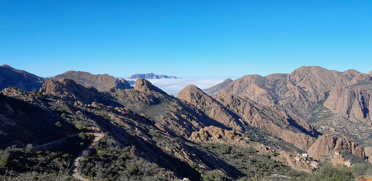 Selectie 20260205 110136 Tom Cornelis