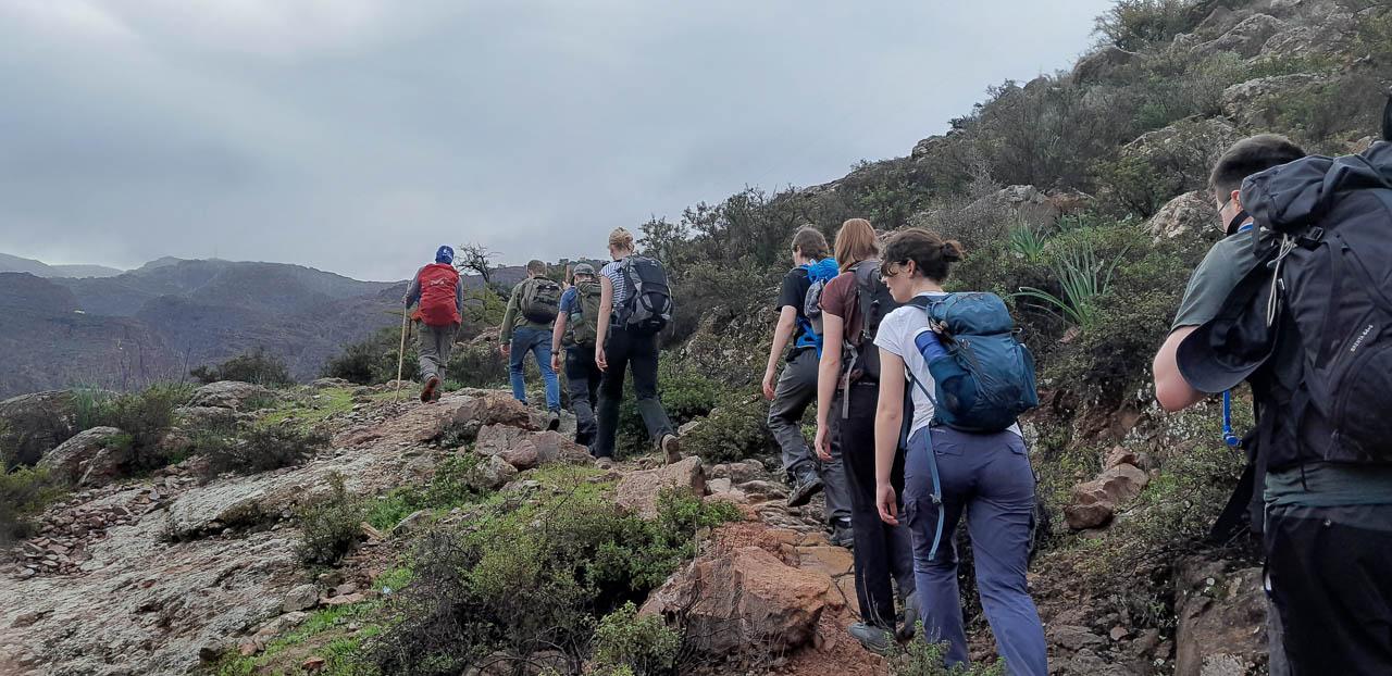 Selectie 20260203 093508 Tom Cornelis