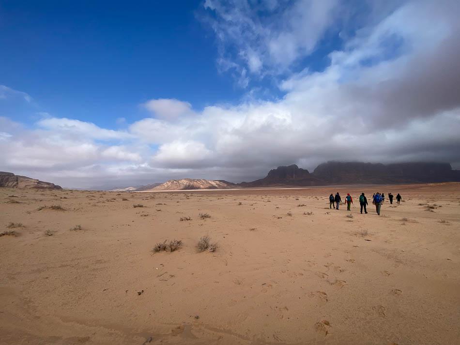 IMG_5212-JO4AAA Ward Plettinck-Ward Plettinck-w950