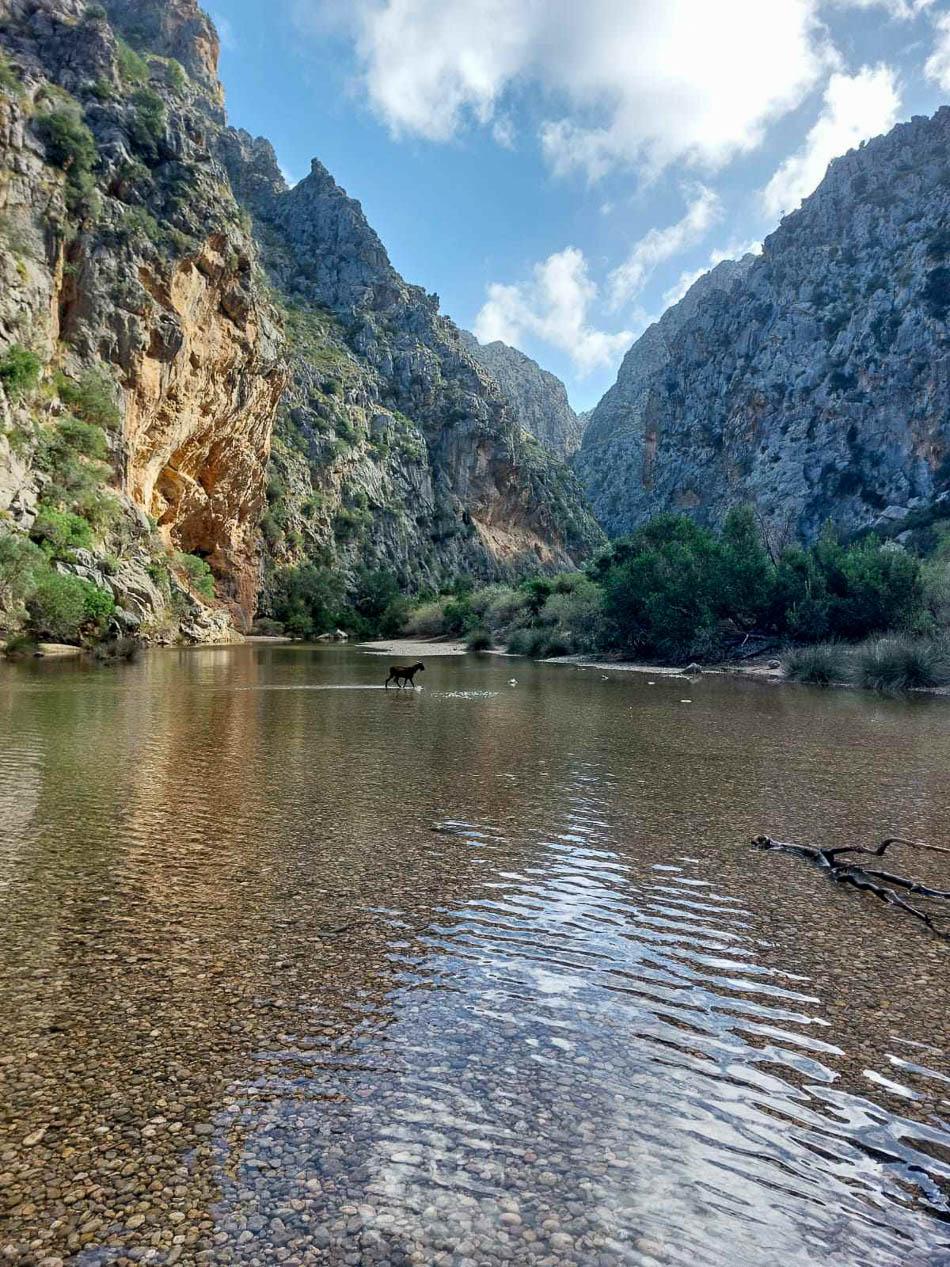 438232012 1162566861648068 6378264641866622809 N Selectie Lori Persoons W950