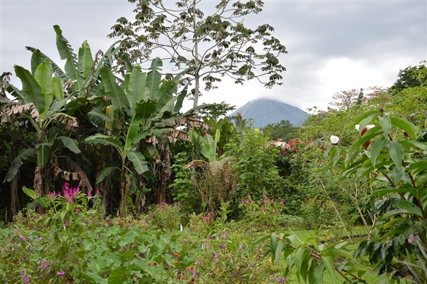 Costa Rica - Van jungletrekkings tot wildwaterplezier