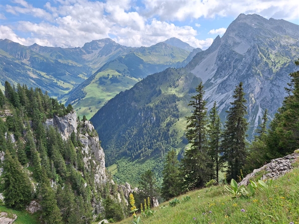 Zwitserland - Berner Oberland